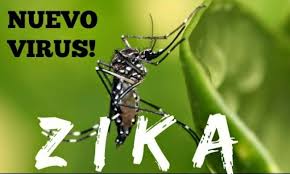WHO: Vi rút Zika bùng phát là hiện tượng bất thường