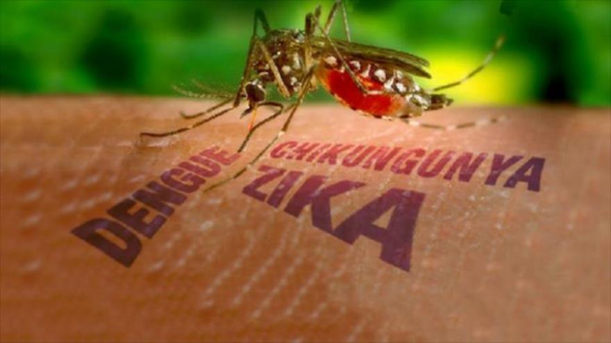 Khám phá mới về virút Zika