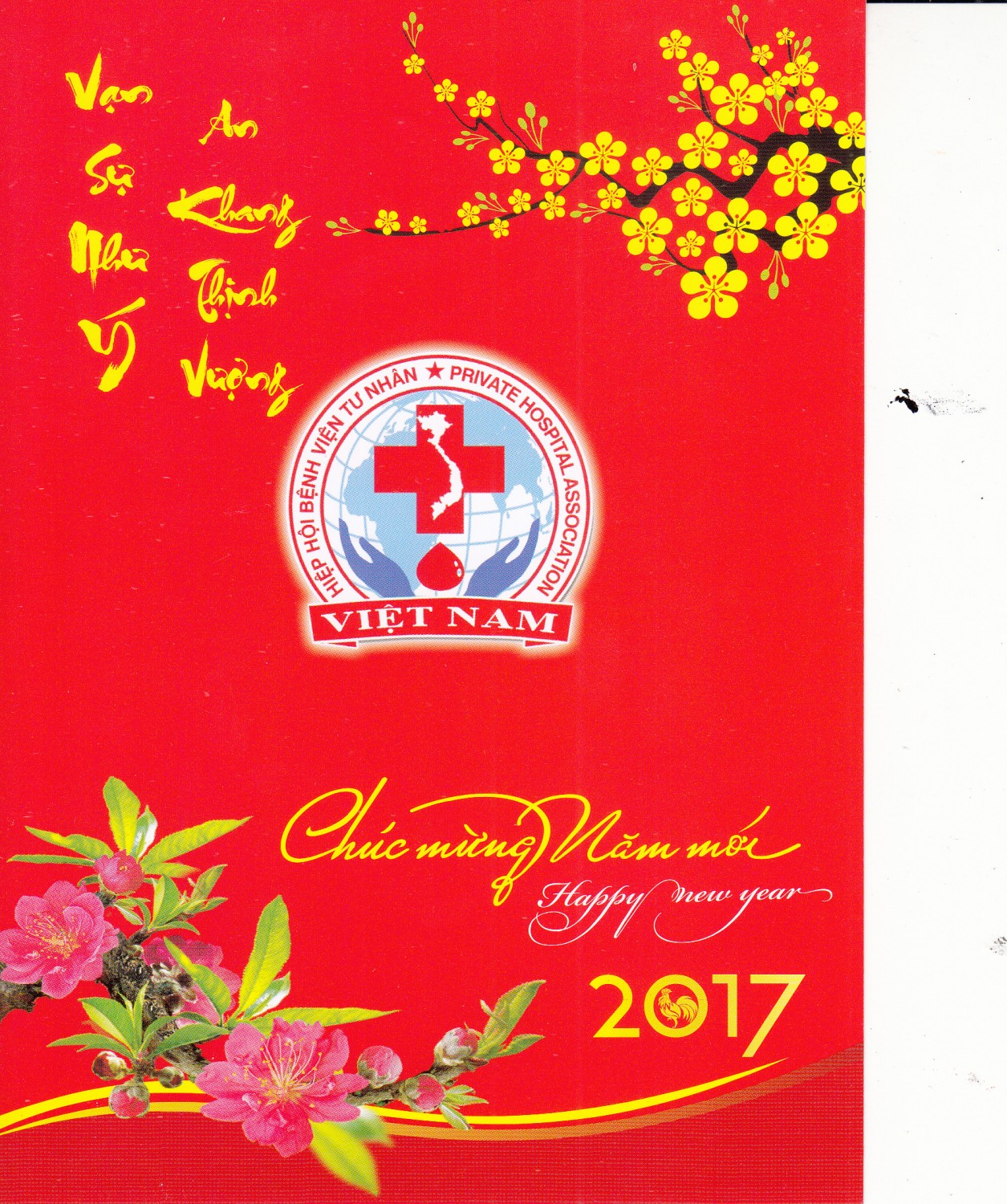Thư chúc tết Đinh Dậu của Chủ tịch Hiệp hội BV tư nhân Việt Nam