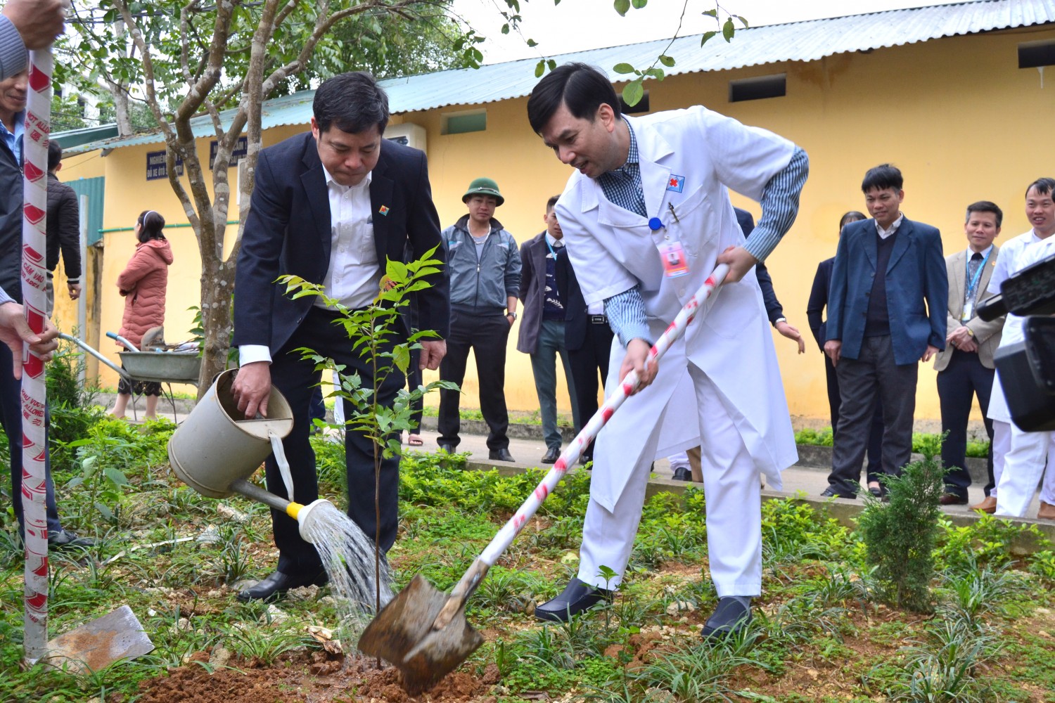 Tết trồng cây tại Bệnh viện đa khoa Hùng Vương.